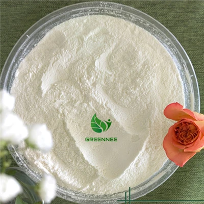 N-acetylneuraminic Acid CAS 131-48-6